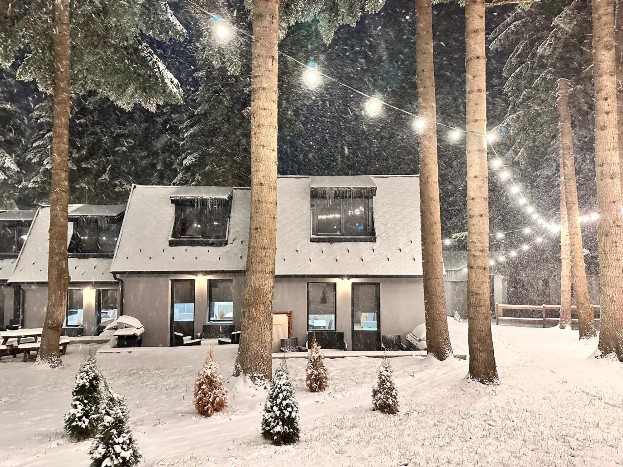 Boro Green Holiday Village Borovec Kültér fotó